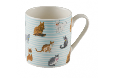 Price & Kensington Cat Decorated Mug 34cl
